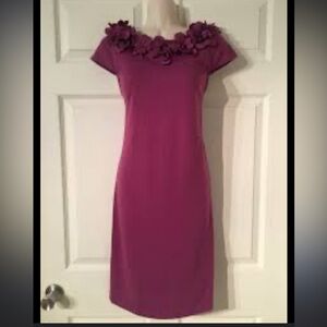 Beautiful!  Just….Taylor Purple shift dress